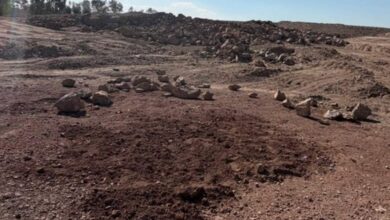 Iran Executes Swedish Citizen, Secretly Buries Body in Mass Grave Area