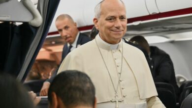 Pope Leo I declares AI existential risks are not 'fake news
