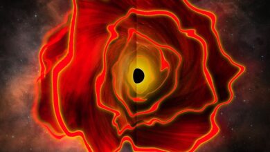 Astronomers Identify a New Cosmic Object: The "Black Hole Star