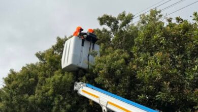 Cape Town Repairs 10,700 Storm Faults as Metro Grapples with Infrastructure Strain