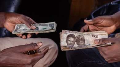 Africa’s Currencies Stabilize, but Dollar Pricing Persists in Daily Life