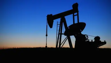 Czech Republic, Slovakia agree €40m deal to reverse Druzhba oil pipeline flow