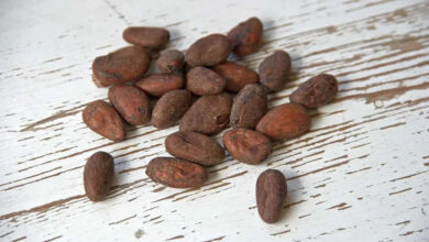 Ghana Proposes 6% Cocoa Price Hike, Renewing Smuggling Risks Amid Crop Declines