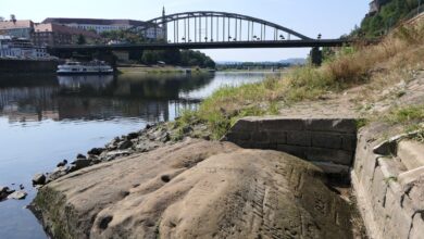 Europe’s Drought Reveals 'Hunger Stones' and Centuries of Hydrological History