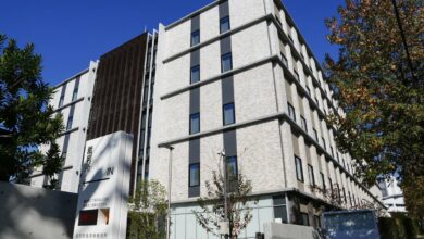 Tokyo court establishes voice as protected publicity right in landmark AI cloning verdict