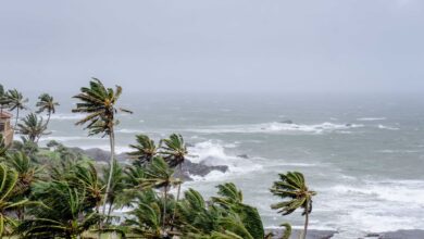 Tropical Storm Rachel Forms Off Mexico, Forecast to Strengthen to Hurricane Status