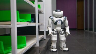 Pope Leo XIV Rejects Dismissal of AI Safety Risks as 'Fake News