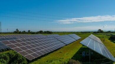 Central American Crossroads: Solar Divestments and Diverging Democratic Standards