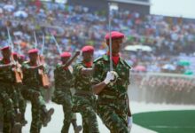 Seven Ethiopian Armed Groups Form Anti-Government Alliance