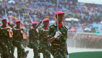 Seven Ethiopian Armed Groups Form Anti-Government Alliance