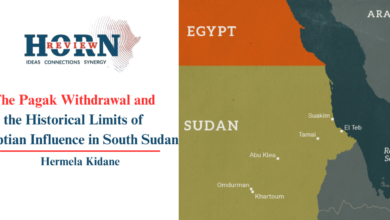 Nile Tensions Escalate as South Sudan Advances Dam Plans and Egypt Closes Alleged Base in Upper Nile