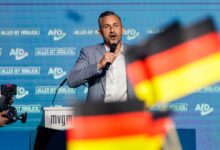 AfD secures historic lead in Saxony-Anhalt election as Merz faces political setback