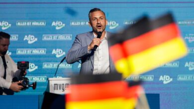AfD secures historic lead in Saxony-Anhalt election as Merz faces political setback
