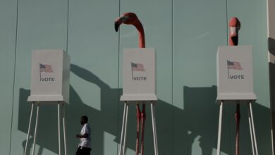US Midterm Election Nears as Democrats Surge in Polls Amidst Gridlock and Corruption Concerns