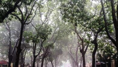 Early Cold Front Arrives in Northern Vietnam, Triggering Sharp Temperature Drop and Coastal Storm Warnings