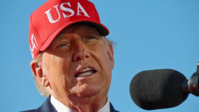 Trump Halts Planned Iran Strikes Citing Midterm Election Risks