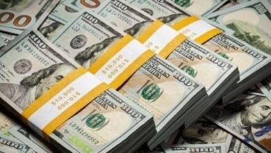 Vietnamese dong faces pressure as US dollar holds firm on Fed policy outlook