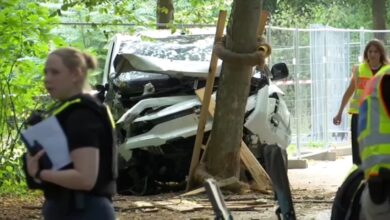 Berlin Pride vehicle attack suspect killed in police confrontation