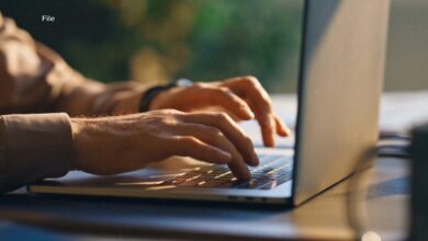 AI reveals critical PHP vulnerabilities, forcing global website shutdowns