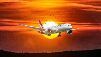 Qantas cancels Rome-Perth flight after bedbug infestation forces aircraft removal from service
