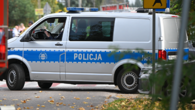 Ukrainian authorities record 76 detentions linked to school violence incidents