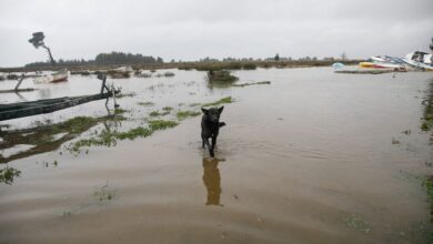 Heavy rains kill three in Chile as storm system intensifies