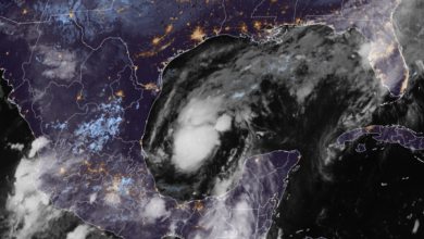 Tropical Storm Isaias Forms, Expected to Strengthen Into Category 2 Hurricane Before Gulf Coast Landfall