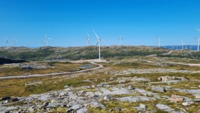 Norway settles landmark Sámi wind farm dispute, keeping turbines running with cultural safeguards