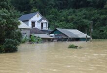 Typhoon Narra’s Intense Rainfall Displaces Thousands and Disrupts Northern Vietnam