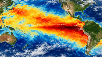 Historic El Niño Emerges as Strongest on Record, Triggering Global Agricultural and Climate Alerts