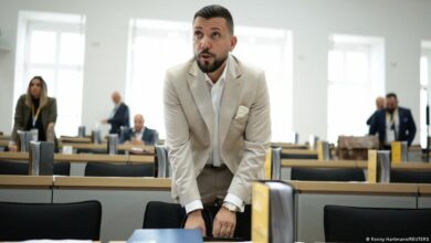 AfD secures historic speakership in Saxony-Anhalt with far-left support