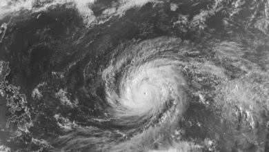 Super Typhoon Dolphin reaches historic Category 5 strength in Northwest Pacific