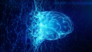 OpenAI releases 372 mathematical results from unreleased model, sparking transparency debate