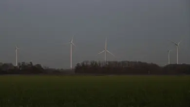 TenneT warns of imminent connection freeze in central Netherlands as grid hits capacity limit