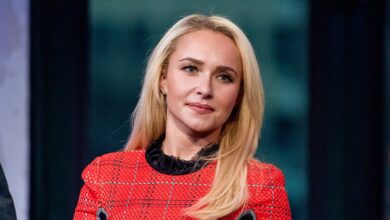 Court grants Wladimir Klitschko temporary guardianship of Hayden Panettiere’s estate