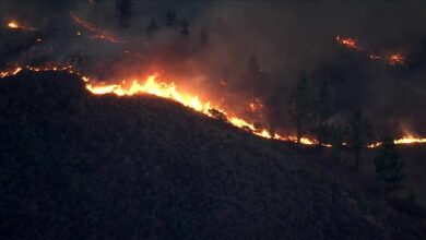 Bryson Fire Spreads to 102 Acres Amid Santa Ana Winds, Triggering Evacuations in Malibu