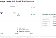 U.S. Gas Supply Surplus Contrasts with European Storage Deficits Amid Global Price Volatility
