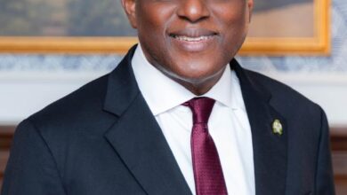 Nigeria’s Central Bank Governor Cardoso Appointed Chairman of Africa Finance Corporation