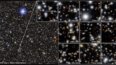 Rubin Observatory Reveals Large Dwarf Planet Candidate Beyond Pluto