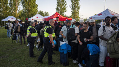 Aid groups withdraw from Ter Apel asylum centre as violence escalates
