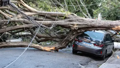 Death Toll Rises in São Paulo as Brazil Faces Cascading Extreme Weather Events