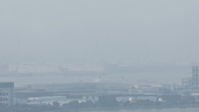 Singapore’s Transboundary Haze Law Triggered as Air Quality Deteriorates