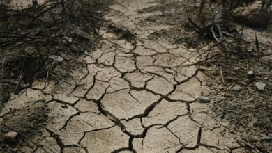 Drought status declared in Yorkshire as reservoirs fall to record lows