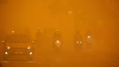 First Resources attributes Kalimantan fire hotspots to external blazes and El Nino drought