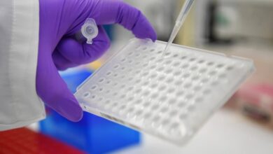 Singapore escalates surveillance of CCHF, Lassa, and Marburg as Nipah virus concerns rise in Asia