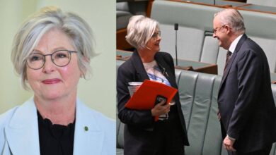 Australian MP Helen Haines critically injured in deliberate vehicle attack; driver arrested
