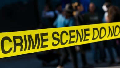 UAE-Led Global Operation Seizes $39 Billion in Assets, Makes 960 Arrests in Fight Against Digital Fraud