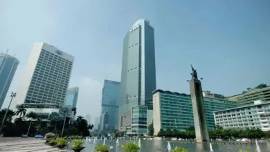 DBS, Bank Central Asia deny merger speculation as Indonesian lender shares surge
