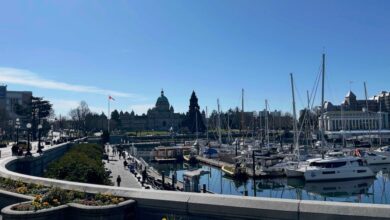 BC Conservatives Lead NDP in Tight Snap Election Race, New Polls Show