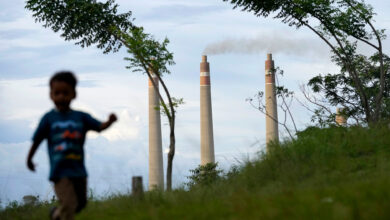 Indonesia’s Grid Failures Expose Structural Fragility in Coal-Dependent Power System